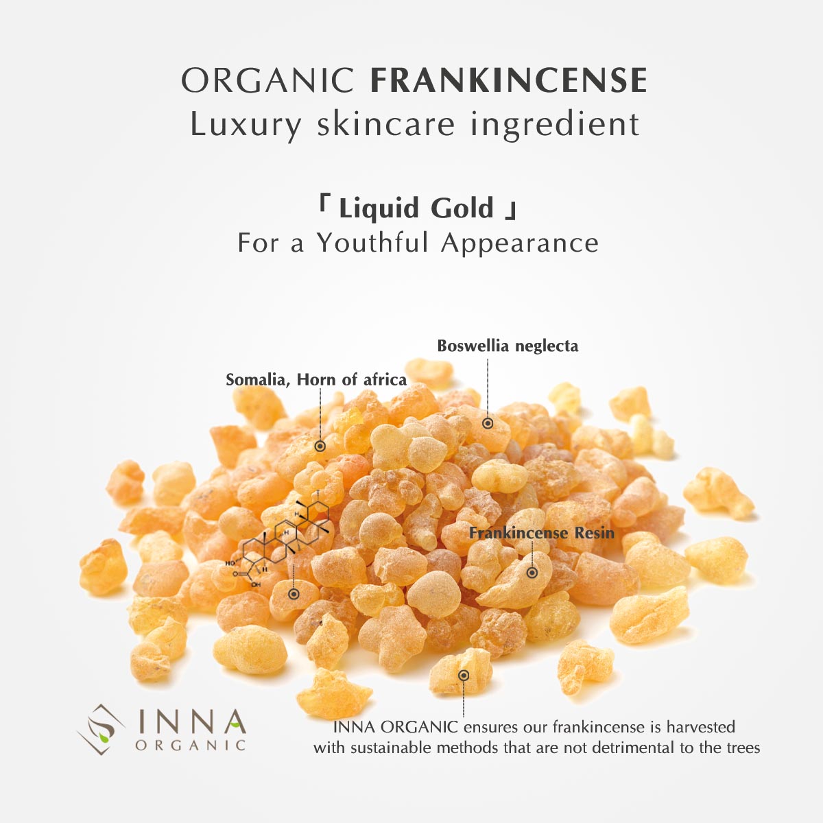 Inna Organic_Frankincense Revitalizing Face Oil