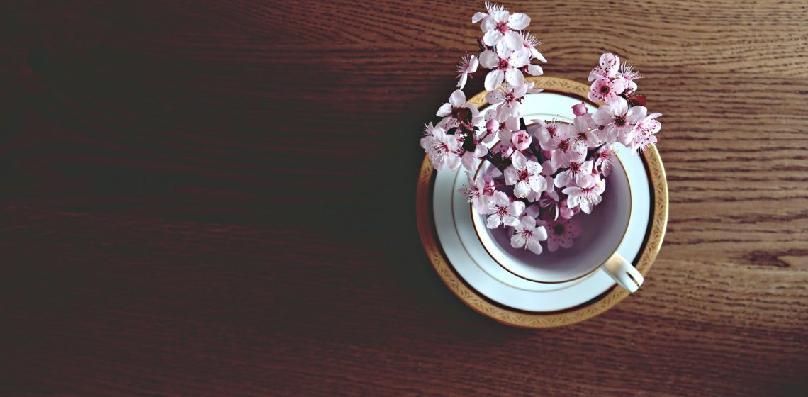cherry blossom in a cup